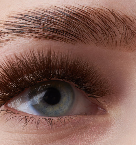 Eyebrow Lamination